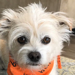 Meet your Posher, Dana